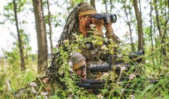  虎帐察看丨野和饮